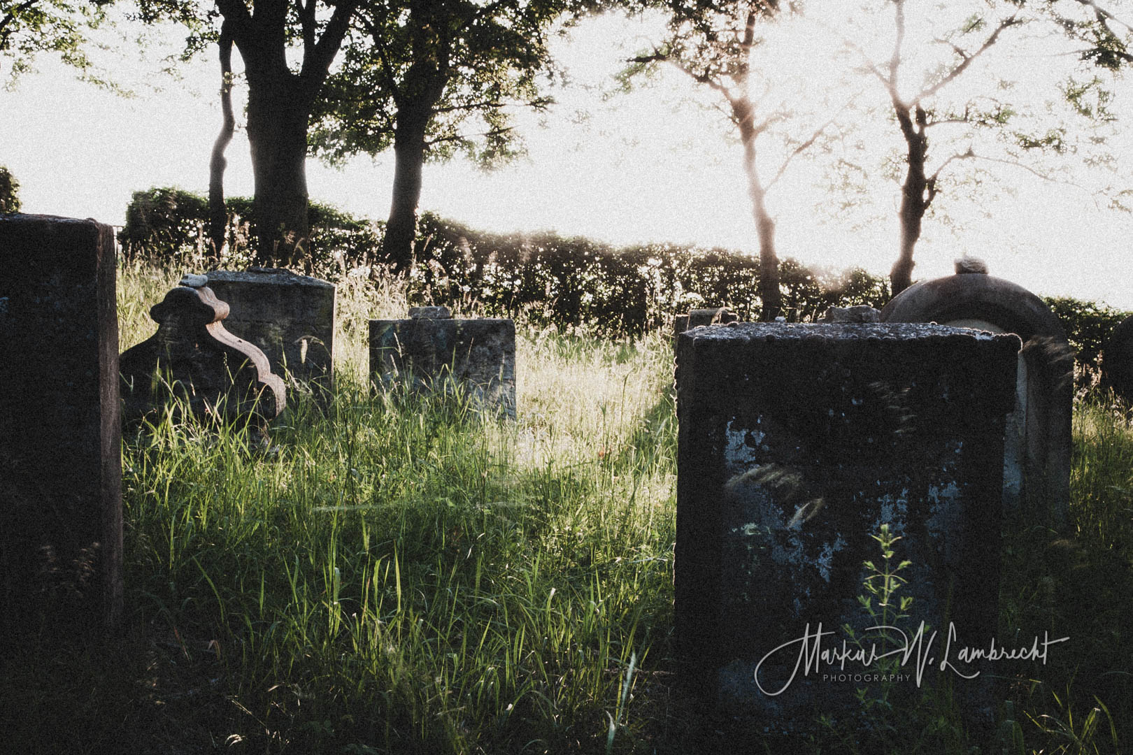 Wettesingen, Jüdischer Friedhof